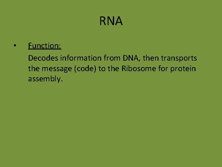 RNA • Function: Decodes information from DNA, then transports the message (code) to the RNA • Function: Decodes information from DNA, then transports the message (code) to the