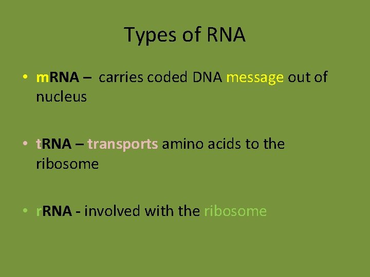 Types of RNA • m. RNA – carries coded DNA message out of nucleus Types of RNA • m. RNA – carries coded DNA message out of nucleus