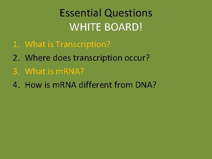 Essential Questions WHITE BOARD! 1. 2. 3. 4. What is Transcription? Where does transcription Essential Questions WHITE BOARD! 1. 2. 3. 4. What is Transcription? Where does transcription
