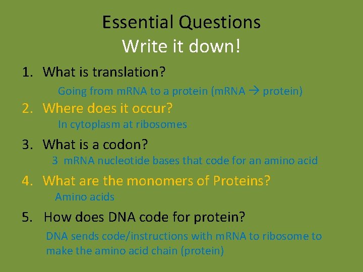 Essential Questions Write it down! 1. What is translation? Going from m. RNA to Essential Questions Write it down! 1. What is translation? Going from m. RNA to