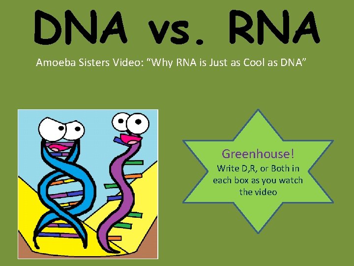 DNA vs. RNA Amoeba Sisters Video: “Why RNA is Just as Cool as DNA” DNA vs. RNA Amoeba Sisters Video: “Why RNA is Just as Cool as DNA”
