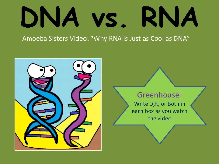 DNA vs. RNA Amoeba Sisters Video: “Why RNA is Just as Cool as DNA” DNA vs. RNA Amoeba Sisters Video: “Why RNA is Just as Cool as DNA”