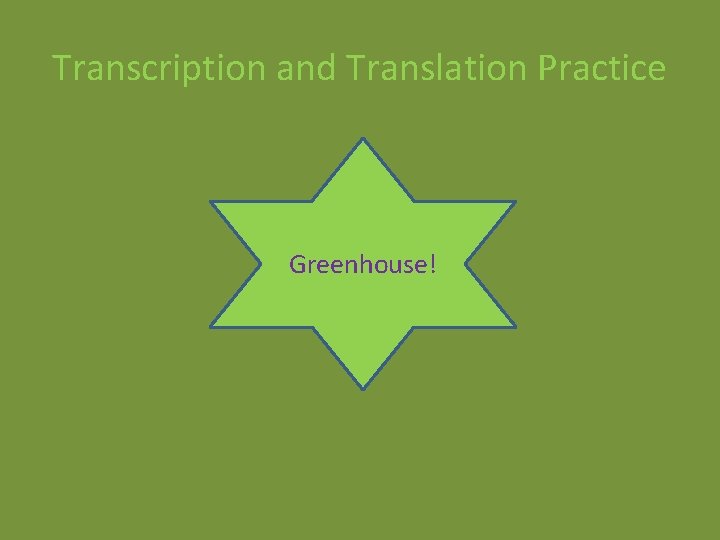 Transcription and Translation Practice Greenhouse! Transcription and Translation Practice Greenhouse!
