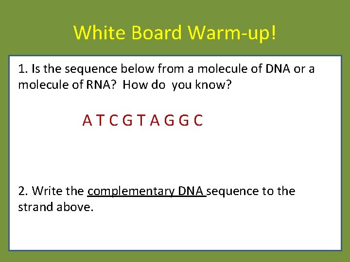 White Board Warm-up! 1. Is the sequence below from a molecule of DNA or White Board Warm-up! 1. Is the sequence below from a molecule of DNA or