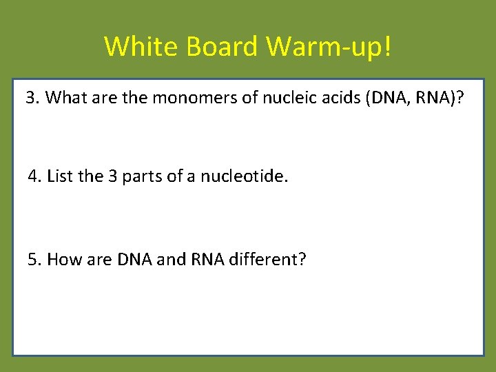 White Board Warm-up! 3. What are the monomers of nucleic acids (DNA, RNA)? 4. White Board Warm-up! 3. What are the monomers of nucleic acids (DNA, RNA)? 4.