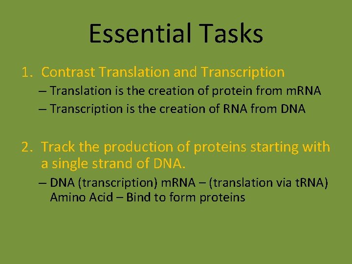 Essential Tasks 1. Contrast Translation and Transcription – Translation is the creation of protein Essential Tasks 1. Contrast Translation and Transcription – Translation is the creation of protein