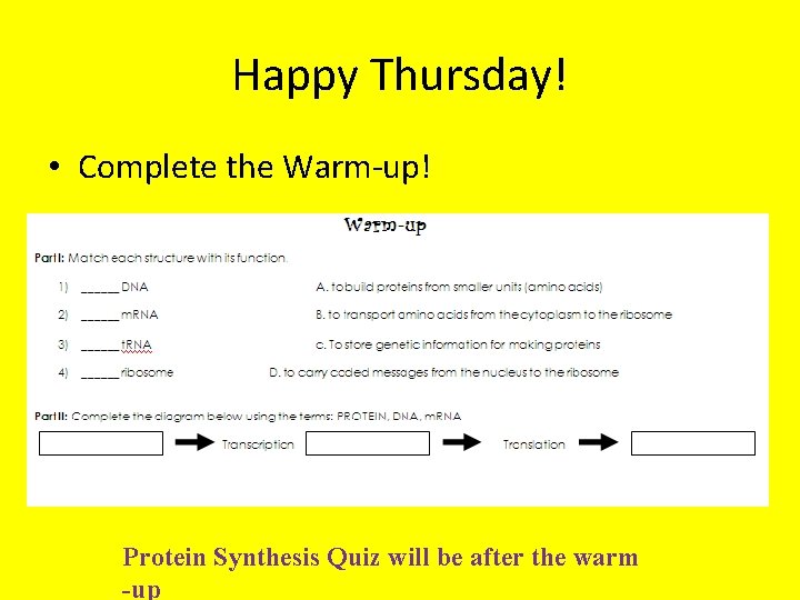 Happy Thursday! • Complete the Warm-up! Protein Synthesis Quiz will be after the warm Happy Thursday! • Complete the Warm-up! Protein Synthesis Quiz will be after the warm