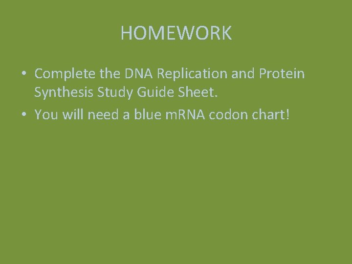 HOMEWORK • Complete the DNA Replication and Protein Synthesis Study Guide Sheet. • You HOMEWORK • Complete the DNA Replication and Protein Synthesis Study Guide Sheet. • You