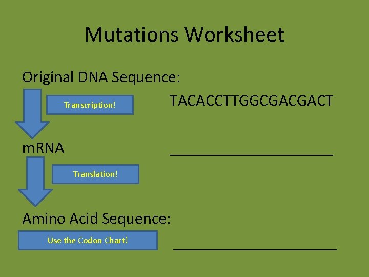 Mutations Worksheet Original DNA Sequence: TACACCTTGGCGACGACT Transcription! m. RNA __________ Translation! Amino Acid Sequence: Mutations Worksheet Original DNA Sequence: TACACCTTGGCGACGACT Transcription! m. RNA __________ Translation! Amino Acid Sequence: