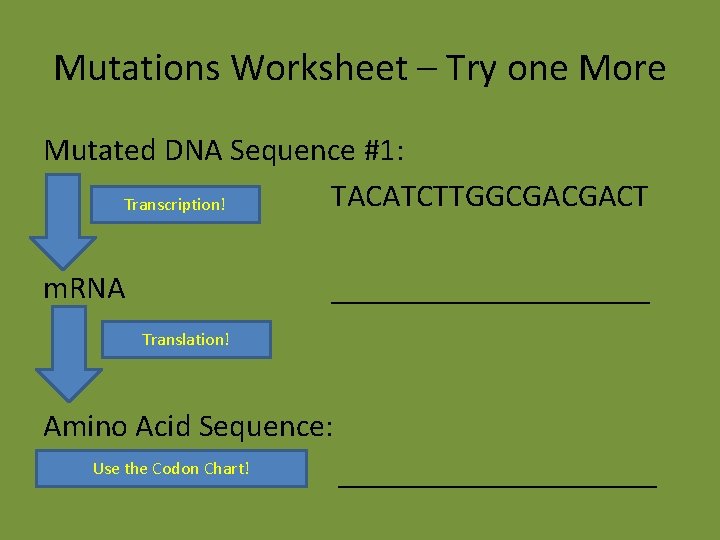 Mutations Worksheet – Try one More Mutated DNA Sequence #1: TACATCTTGGCGACGACT Transcription! m. RNA Mutations Worksheet – Try one More Mutated DNA Sequence #1: TACATCTTGGCGACGACT Transcription! m. RNA