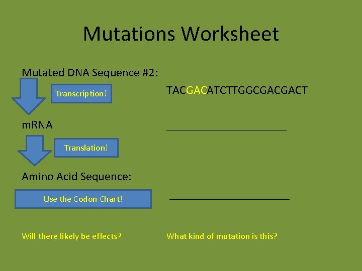 Mutations Worksheet Mutated DNA Sequence #2: Transcription! m. RNA TACGACATCTTGGCGACGACT __________ Translation! Amino Acid Mutations Worksheet Mutated DNA Sequence #2: Transcription! m. RNA TACGACATCTTGGCGACGACT __________ Translation! Amino Acid