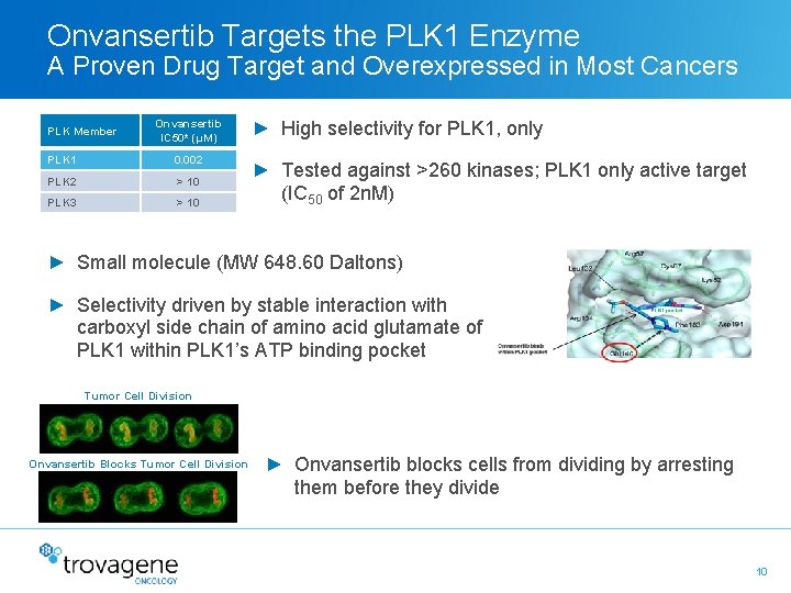 Onvansertib Targets the PLK 1 Enzyme A Proven Drug Target and Overexpressed in Most