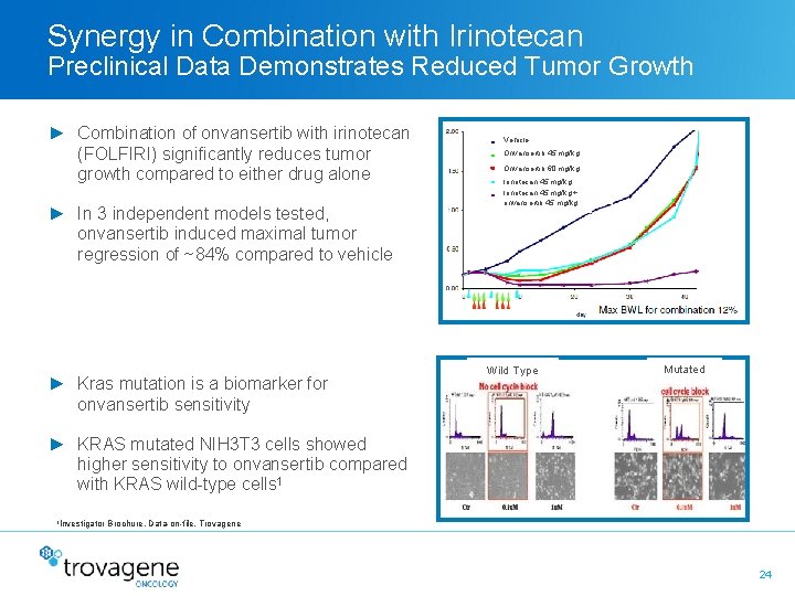 Synergy in Combination with Irinotecan Preclinical Data Demonstrates Reduced Tumor Growth ► Combination of