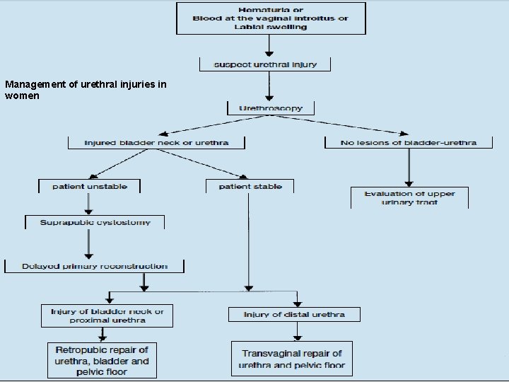 Management of urethral injuries in women 