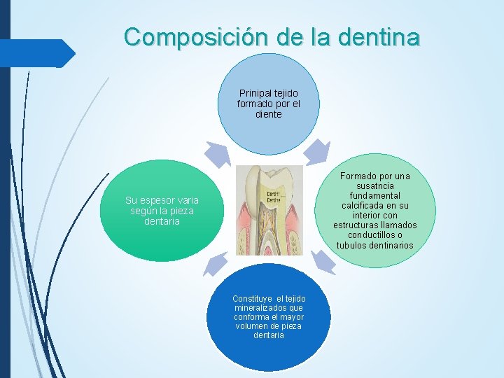 Composición de la dentina Prinipal tejido formado por el diente Formado por una susatncia Composición de la dentina Prinipal tejido formado por el diente Formado por una susatncia