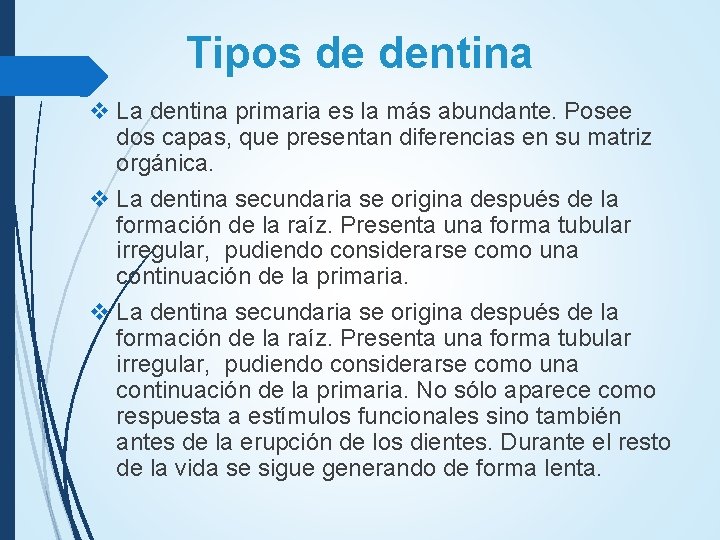 Tipos de dentina v La dentina primaria es la más abundante. Posee dos capas, Tipos de dentina v La dentina primaria es la más abundante. Posee dos capas,