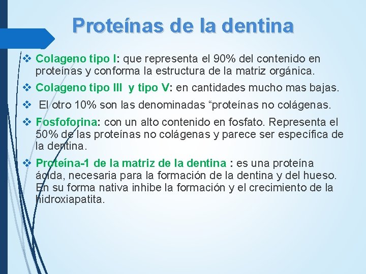 Proteínas de la dentina v Colageno tipo I: que representa el 90% del contenido Proteínas de la dentina v Colageno tipo I: que representa el 90% del contenido