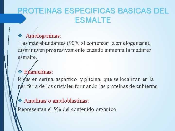 PROTEINAS ESPECIFICAS BASICAS DEL ESMALTE v Amelogeninas: Las más abundantes (90% al comenzar la PROTEINAS ESPECIFICAS BASICAS DEL ESMALTE v Amelogeninas: Las más abundantes (90% al comenzar la