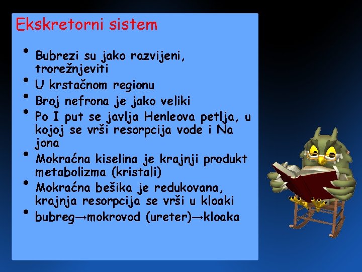 Ekskretorni sistem • Bubrezi su jako razvijeni, trorežnjeviti • U krstačnom regionu • Broj Ekskretorni sistem • Bubrezi su jako razvijeni, trorežnjeviti • U krstačnom regionu • Broj