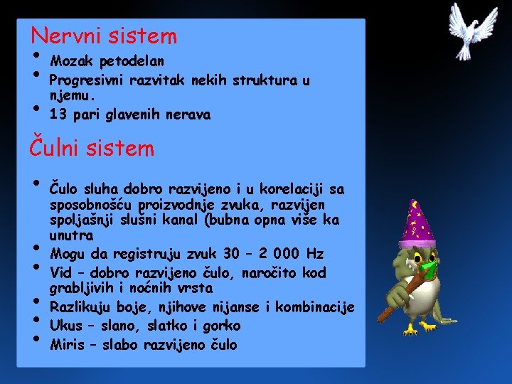 Nervni sistem • Mozak petodelan • Progresivni razvitak nekih struktura u njemu. • 13 Nervni sistem • Mozak petodelan • Progresivni razvitak nekih struktura u njemu. • 13