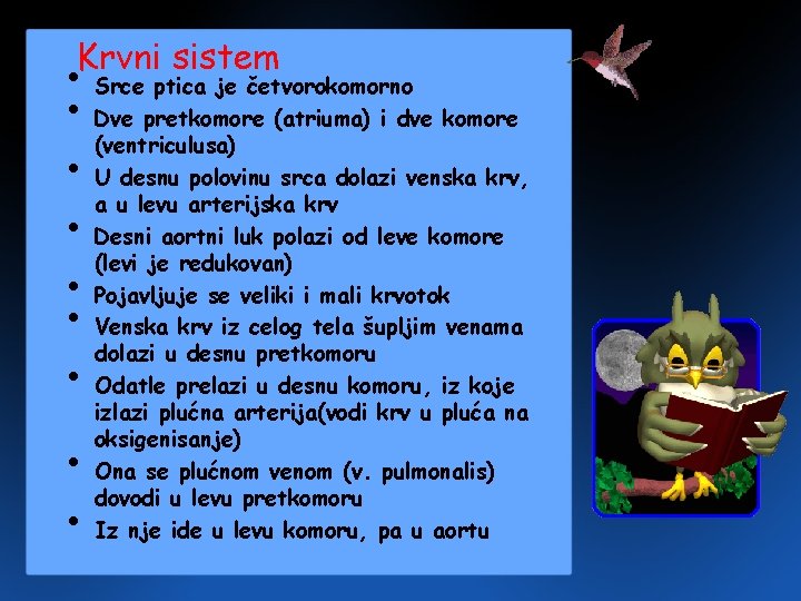 Krvni sistem • Srce ptica je četvorokomorno • Dve pretkomore (atriuma) i dve komore Krvni sistem • Srce ptica je četvorokomorno • Dve pretkomore (atriuma) i dve komore