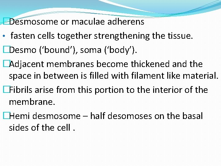 �Desmosome or maculae adherens • fasten cells together strengthening the tissue. �Desmo (‘bound’), soma