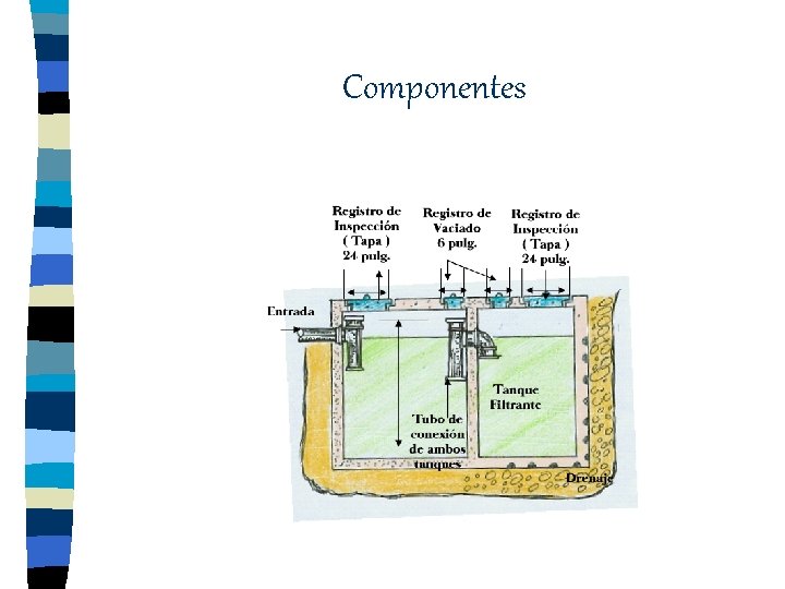 Componentes 