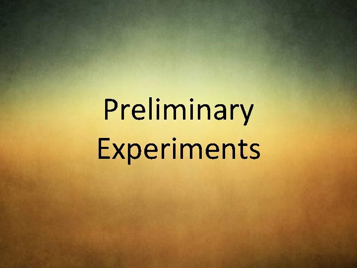 Preliminary Experiments 