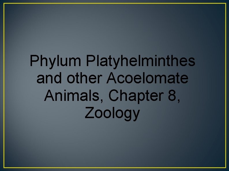 Phylum Platyhelminthes and other Acoelomate Animals, Chapter 8, Zoology 