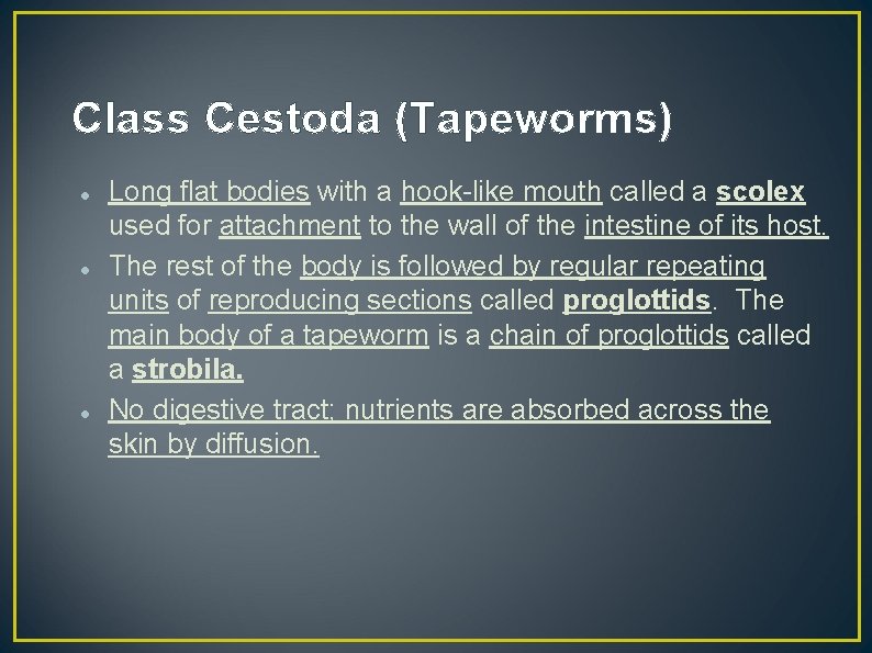 Class Cestoda (Tapeworms) Long flat bodies with a hook-like mouth called a scolex used