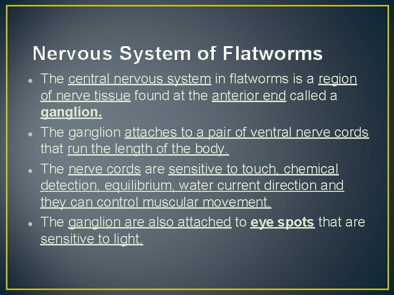 Nervous System of Flatworms The central nervous system in flatworms is a region of