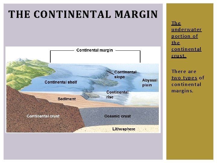 THE CONTINENTAL MARGIN The underwater portion of the continental crust. There are two types