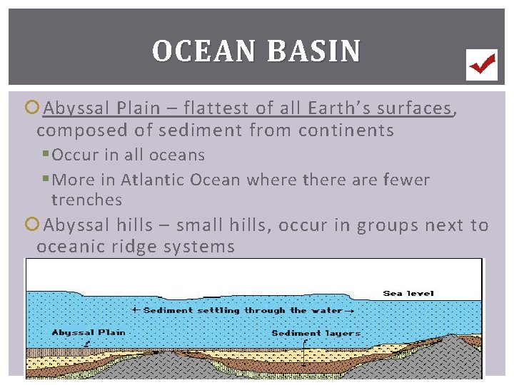 OCEAN BASIN Abyssal Plain – flattest of all Earth’s surfaces, composed of sediment from