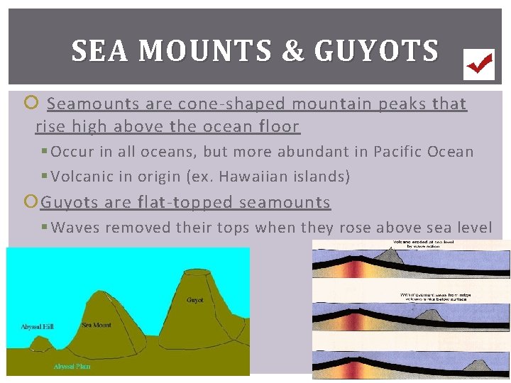 SEA MOUNTS & GUYOTS Seamounts are cone-shaped mountain peaks that rise high above the