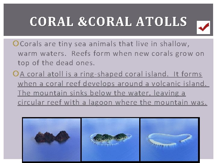 CORAL &CORAL ATOLLS Corals are tiny sea animals that live in shallow, warm waters.