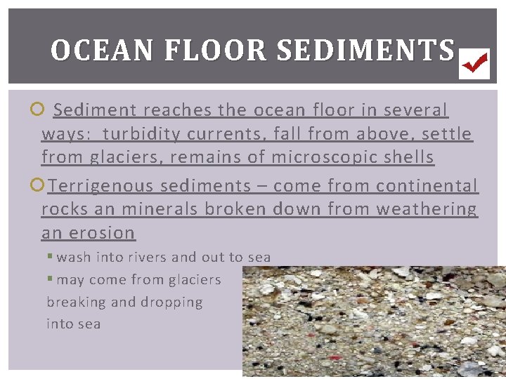 OCEAN FLOOR SEDIMENTS Sediment reaches the ocean floor in several ways: turbidity currents, fall