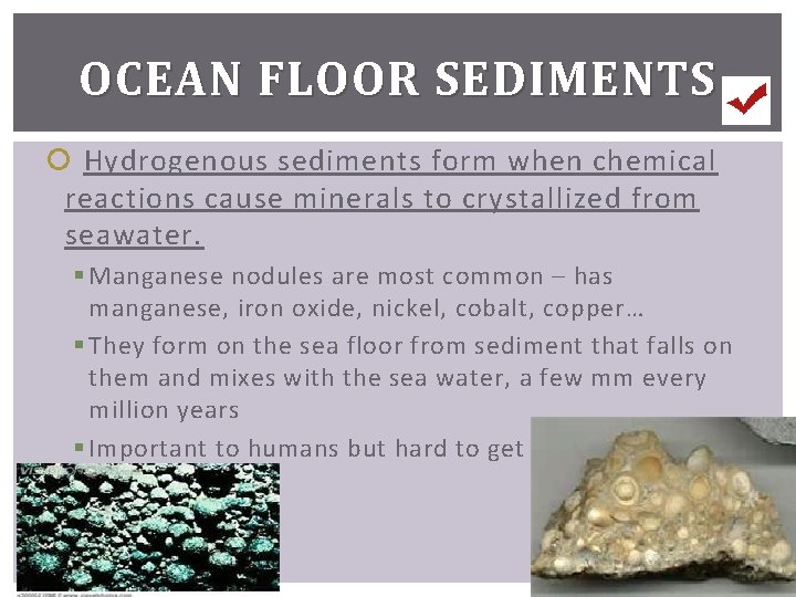 OCEAN FLOOR SEDIMENTS Hydrogenous sediments form when chemical reactions cause minerals to crystallized from