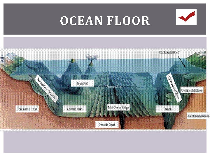 OCEAN FLOOR 