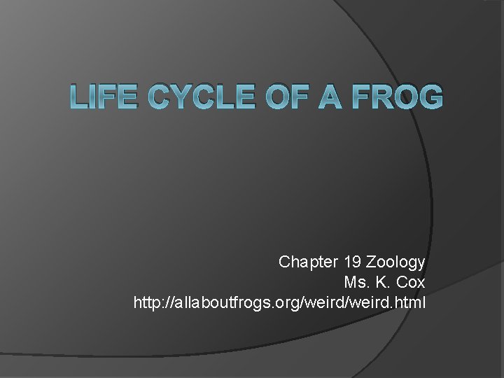 LIFE CYCLE OF A FROG Chapter 19 Zoology Ms. K. Cox http: //allaboutfrogs. org/weird. LIFE CYCLE OF A FROG Chapter 19 Zoology Ms. K. Cox http: //allaboutfrogs. org/weird.