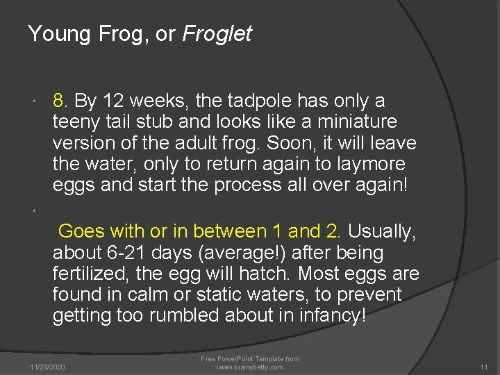 Young Frog, or Froglet 8. By 12 weeks, the tadpole has only a teeny Young Frog, or Froglet 8. By 12 weeks, the tadpole has only a teeny