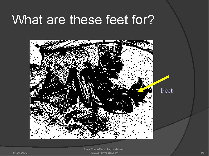 What are these feet for? Feet 11/28/2020 Free Power. Point Template from www. brainybetty. What are these feet for? Feet 11/28/2020 Free Power. Point Template from www. brainybetty.