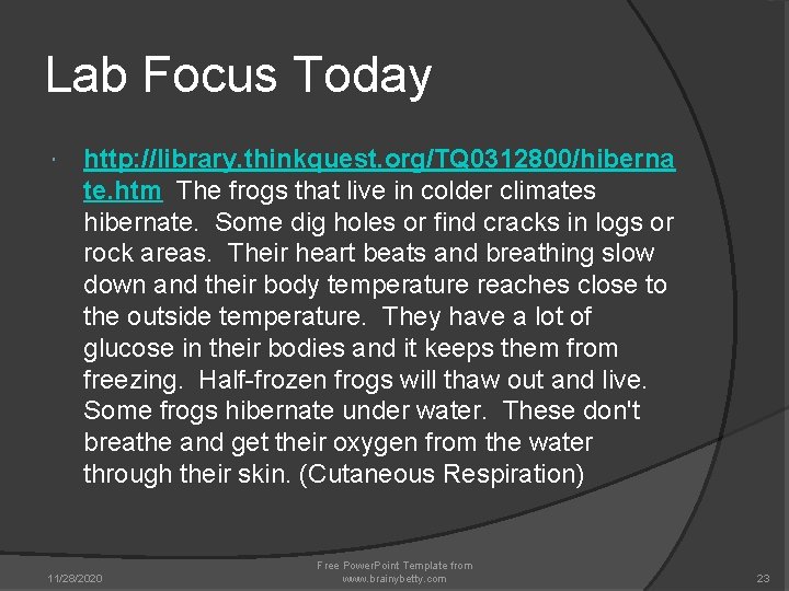Lab Focus Today http: //library. thinkquest. org/TQ 0312800/hiberna te. htm The frogs that live Lab Focus Today http: //library. thinkquest. org/TQ 0312800/hiberna te. htm The frogs that live