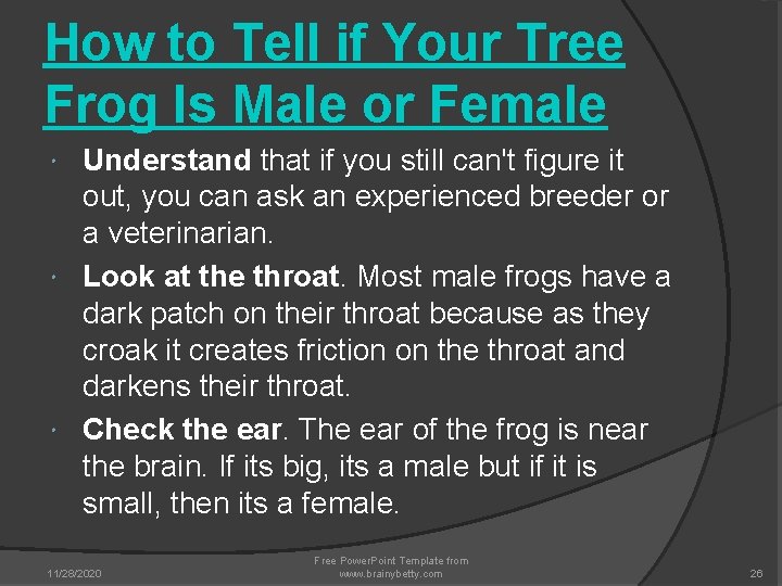 How to Tell if Your Tree Frog Is Male or Female Understand that if How to Tell if Your Tree Frog Is Male or Female Understand that if