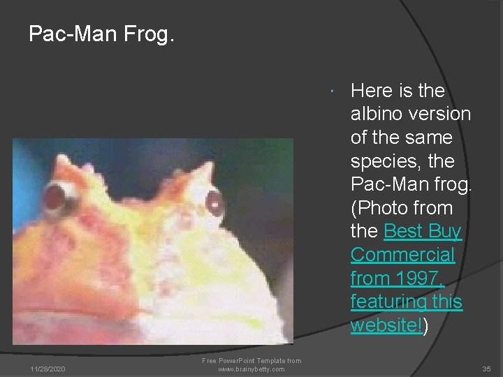 Pac-Man Frog. 11/28/2020 Free Power. Point Template from www. brainybetty. com Here is the Pac-Man Frog. 11/28/2020 Free Power. Point Template from www. brainybetty. com Here is the