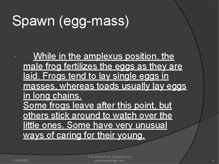 Spawn (egg-mass) While in the amplexus position, the male frog fertilizes the eggs as Spawn (egg-mass) While in the amplexus position, the male frog fertilizes the eggs as