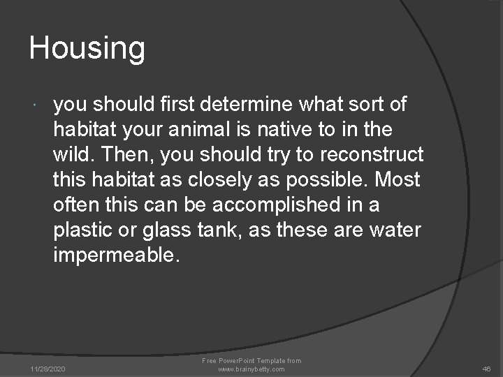 Housing you should first determine what sort of habitat your animal is native to Housing you should first determine what sort of habitat your animal is native to
