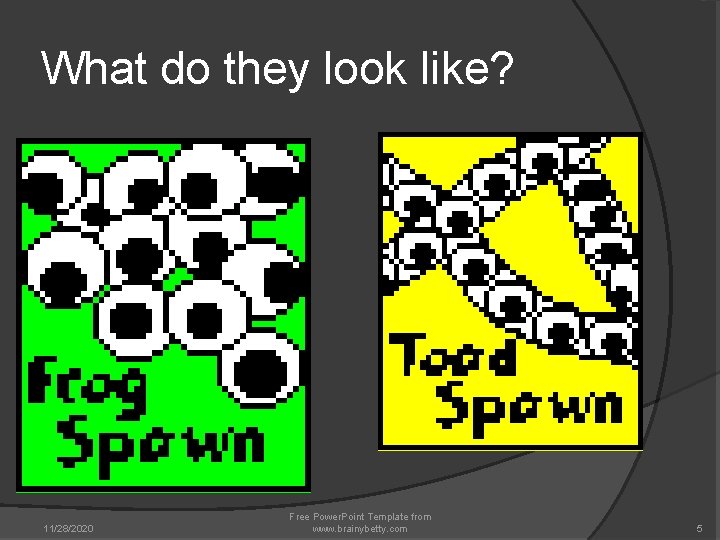 What do they look like? 11/28/2020 Free Power. Point Template from www. brainybetty. com What do they look like? 11/28/2020 Free Power. Point Template from www. brainybetty. com
