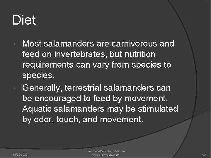 Diet Most salamanders are carnivorous and feed on invertebrates, but nutrition requirements can vary Diet Most salamanders are carnivorous and feed on invertebrates, but nutrition requirements can vary