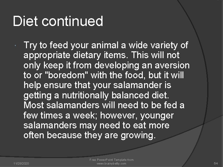 Diet continued Try to feed your animal a wide variety of appropriate dietary items. Diet continued Try to feed your animal a wide variety of appropriate dietary items.