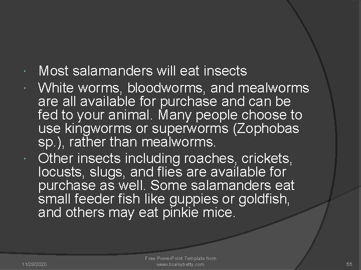 Most salamanders will eat insects White worms, bloodworms, and mealworms are all available for Most salamanders will eat insects White worms, bloodworms, and mealworms are all available for